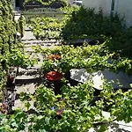 Πανσιόν Weingut Haxel Κόχεμ
