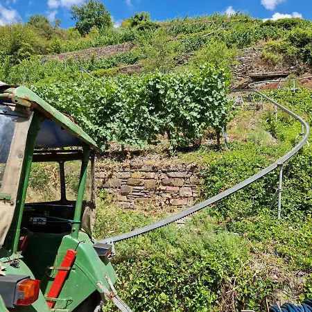 Weingut Haxel 3* Cochem