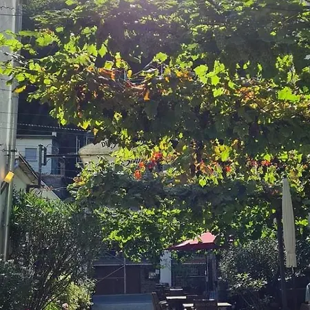 Vendégház Weingut Haxel