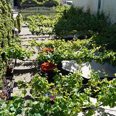 Vendégház Weingut Haxel Cochem