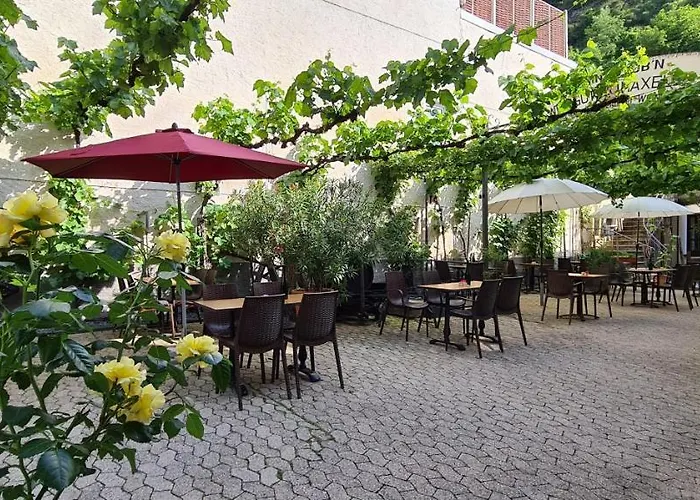 Weingut Haxel Cochem