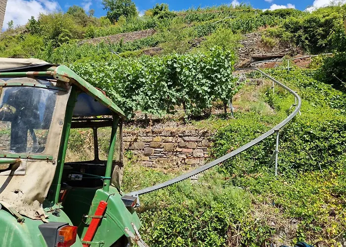 Weingut Haxel 3* Cochem