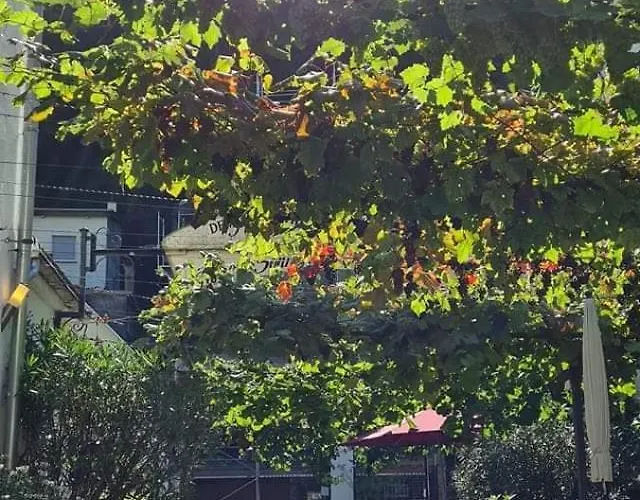 Konukevi Weingut Haxel