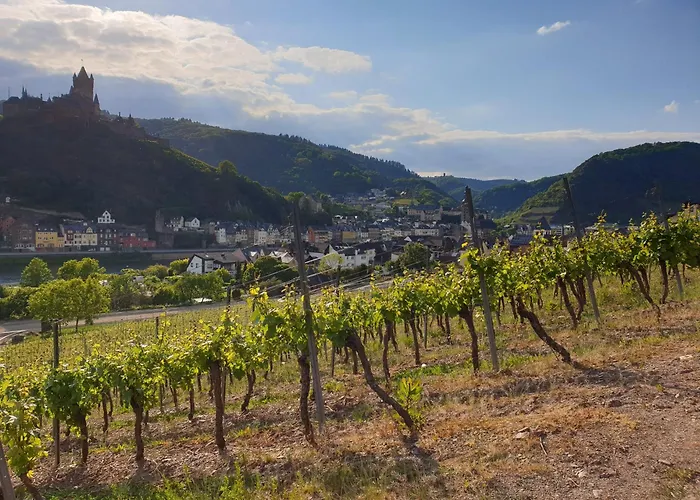 招待所 哈克瑟尔酒庄酒店 科赫姆